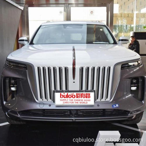 Dongfeng Electric Car Electric Car Kids 24V hongqi h9 xpeng g3